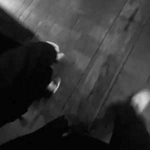 免费观看大肚子黄片
